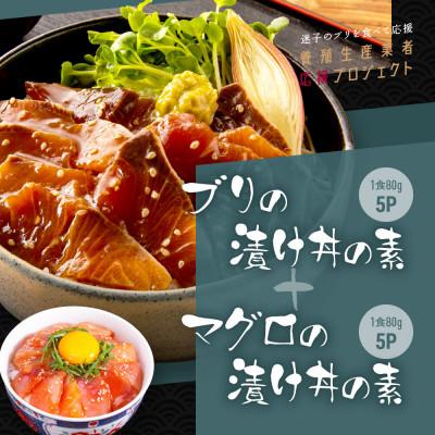 ふるさと納税 芸西村 高知の海鮮丼の素「ブリの漬け」1食80g×5P+「マグロの漬け」1食80g×5P